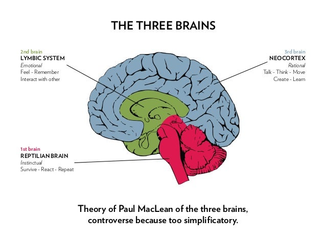 The role of the paleomammalian/emotional brain